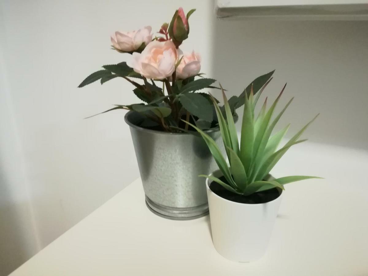 Iris Apartment Pombal  Ngoại thất bức ảnh