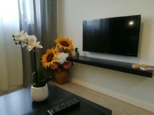 Iris Apartment Pombal  Ngoại thất bức ảnh